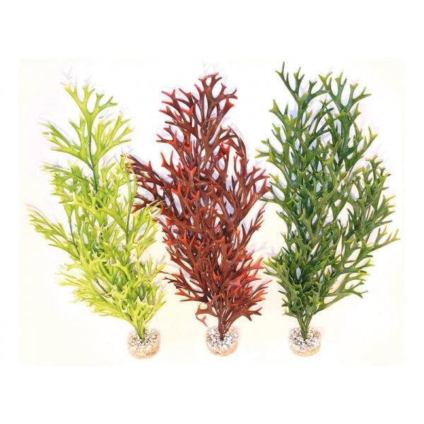 Rosewood Water Fern Flexible - Ormskirk Pets