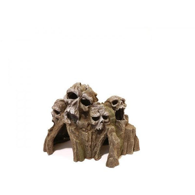 Rosewood Skull Mountain Medium - Ormskirk Pets