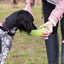 Rosewood Portable Leaf Travel bottle - Ormskirk Pets