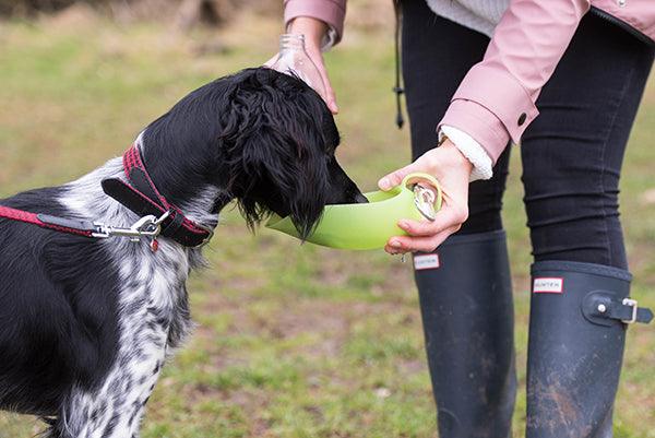 Rosewood Portable Leaf Travel bottle - Ormskirk Pets
