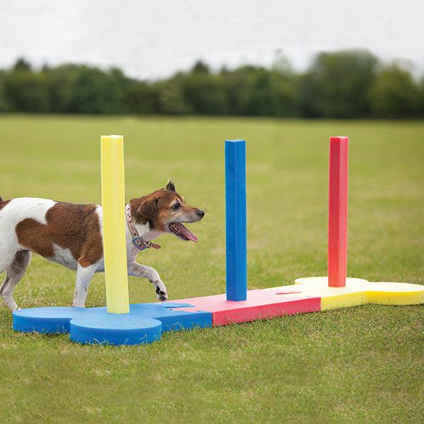 Rosewood Small Dog Slalom - Ormskirk Pets