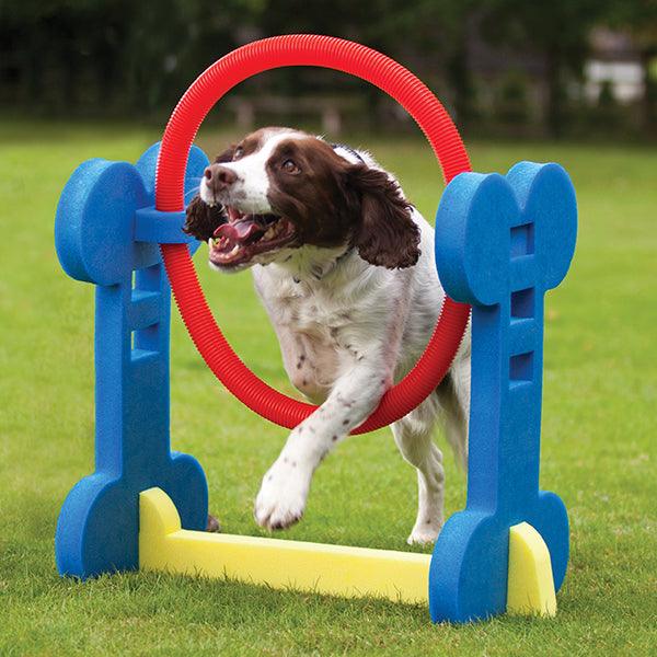 Rosewood Small Dog Hoop - Ormskirk Pets
