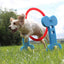 Rosewood Small Dog Hoop - Ormskirk Pets