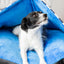 Rosewood Blue Happy Hideout Mattress