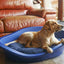 Rosewood Tough & Mucky Bed Mattress 3 sizes 67cm 81cm 94cm - Ormskirk Pets
