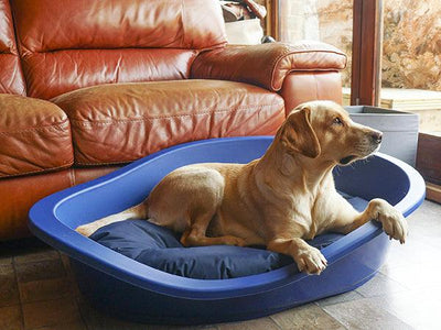 Rosewood Tough & Mucky Bed Mattress 3 sizes 67cm 81cm 94cm - Ormskirk Pets