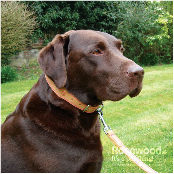 Rosewood Collars Tan