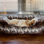 40 Winks Brown Cosy Fur Print Square