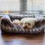 40 Winks Brown Cosy Fur Print Square