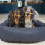 40 Winks Grey Felt With Support Square