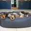 40 Winks Grey Felt With Support Square