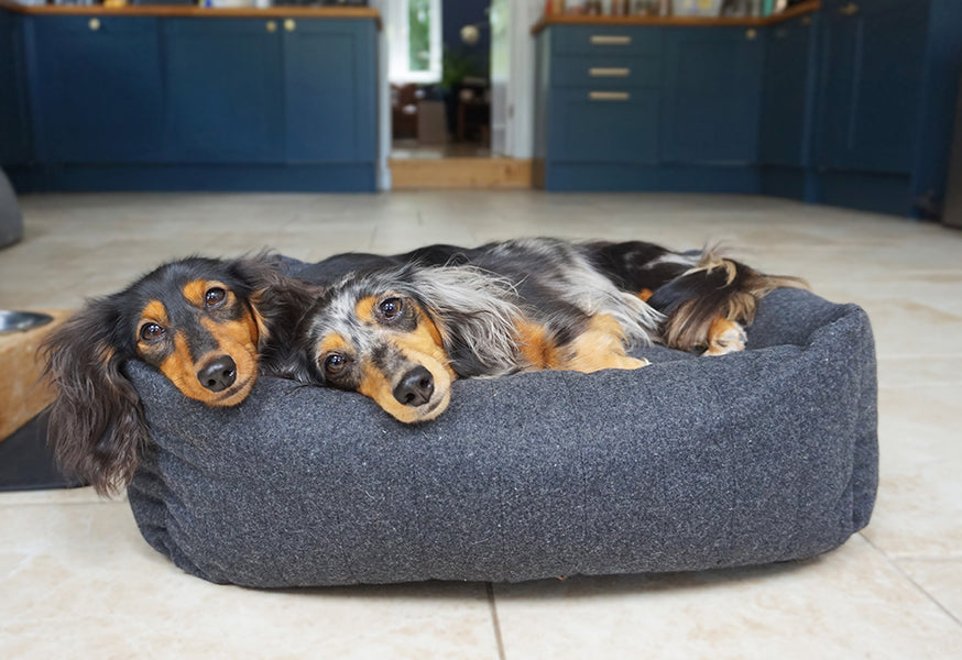 40 Winks Grey Felt With Support Square