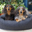 40 Winks Grey Felt With Support Square