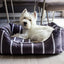 40 Winks Grey Velvet Stripes Square