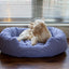40 Winks Blue Sky Stripe Square