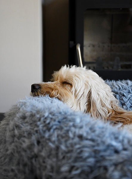 40 Winks Silver Fluff Comfort Round