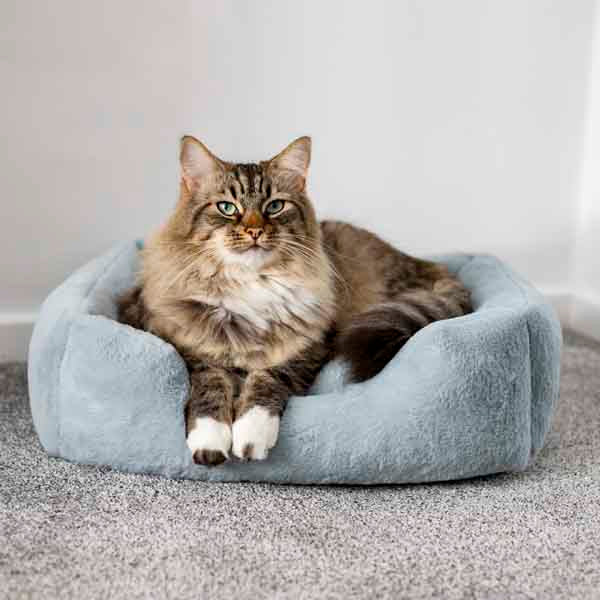 40 Winks Fur Blue Bed