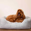 40 Winks Fur Blue Bed