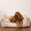 40 Winks Thin Twill Beige Dog Bed