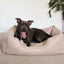 40 Winks Thin Twill Beige Dog Bed