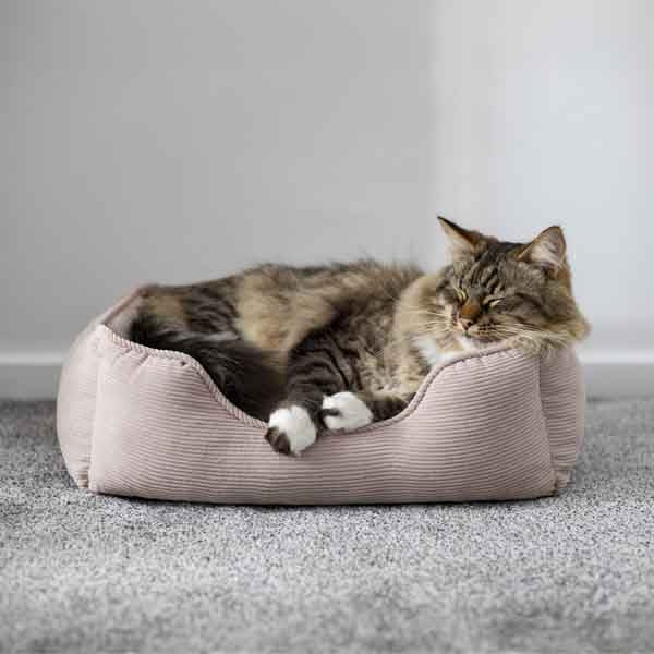 40 Winks Cord Square Bed Beige Dog Bed