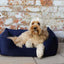 40 Winks  Velvet Navy Dog Bed