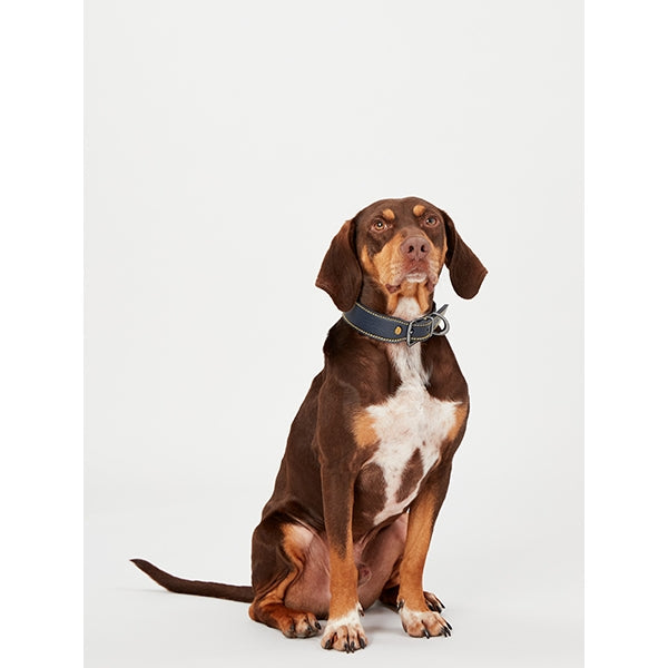 Joules Navy Leather Collar