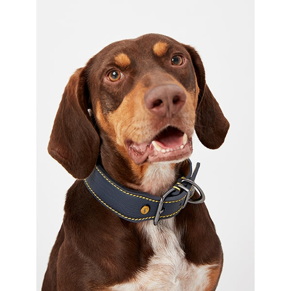 Joules Navy Leather Collar