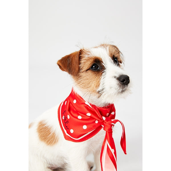 Joules Hello Neckerchief Collar Red Polka Dot