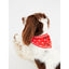 Joules Hello Neckerchief Collar Red Polka Dot