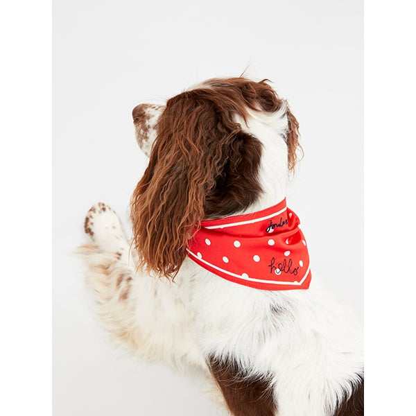 Joules Hello Neckerchief Collar Red Polka Dot