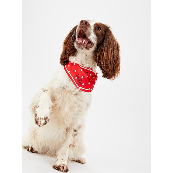 Joules Hello Neckerchief Collar Red Polka Dot