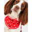 Joules Hello Neckerchief Collar Red Polka Dot