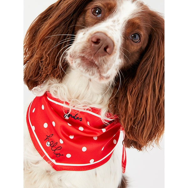 Joules Hello Neckerchief Collar Red Polka Dot