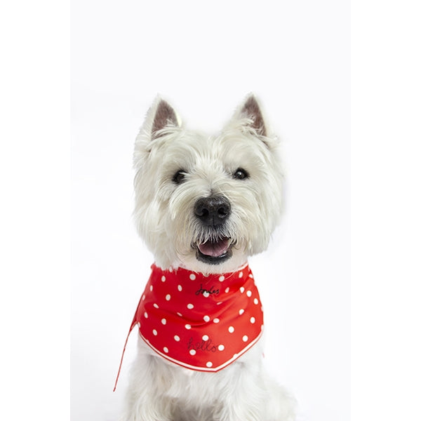 Joules Hello Neckerchief Collar Red Polka Dot
