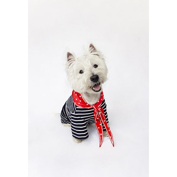 Joules Hello Neckerchief Collar Red Polka Dot