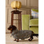 Joules Henson Check Packaway Jacket