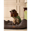 Joules Khaki Quilted Coat