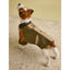 Joules Kennington Coat