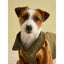 Joules Kennington Coat