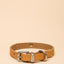 Joules Tan Collar