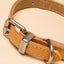 Joules Tan Collar