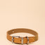 Joules Tan Collar
