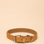 Joules Tan Collar