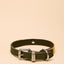 Joules Khaki Collar