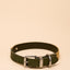 Joules Khaki Collar