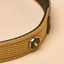Joules Khaki Collar