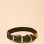 Joules Khaki Collar