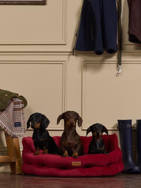 Joules Chesterfield Pet Bed Burgundy