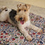 Joules Festival Floral Travel Mat 110cm